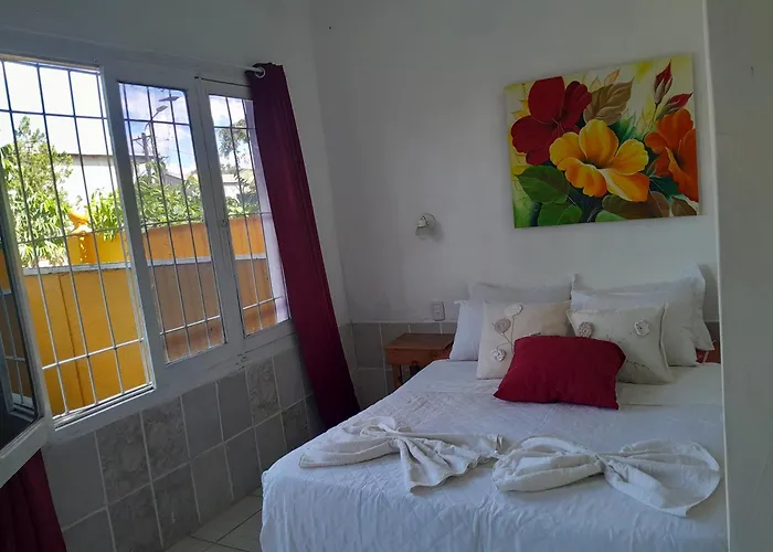 Hostel Damaris