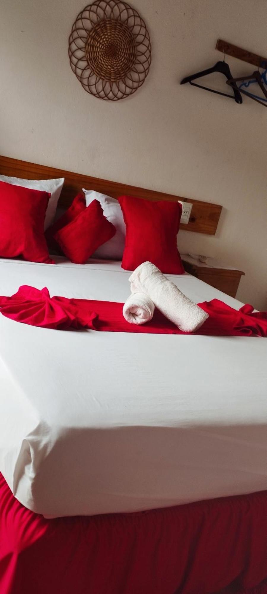 Damaris Hostal